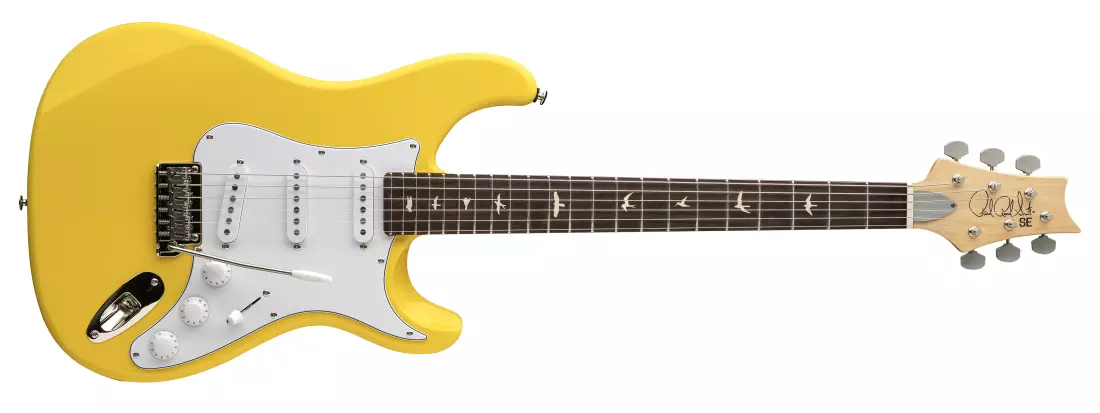 John Mayer Silver Sky SE Rosewood Electric Guitar with Gigbag - Dandy Lion