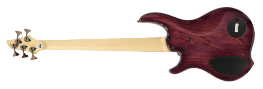 Dingwall Guitars Combustion 5-String Bass With Quilted Maple