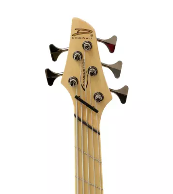 Combustion 5-String Bass with Quilted Maple Top - Ultraviolet