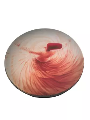 Kiavash Music - Medium DAF Frame Drum with Carrying Bag - Twirling Dervish