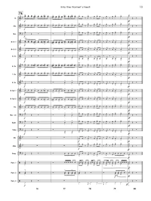 Into The Hornet\'s Nest - Vargas - Concert Band - Gr. 2.5