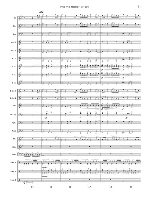 Into The Hornet\'s Nest - Vargas - Concert Band - Gr. 2.5