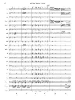 Into The Hornet\'s Nest - Vargas - Concert Band - Gr. 2.5