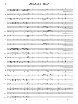 Stampede March - Standrige - Concert Band - Gr. 2