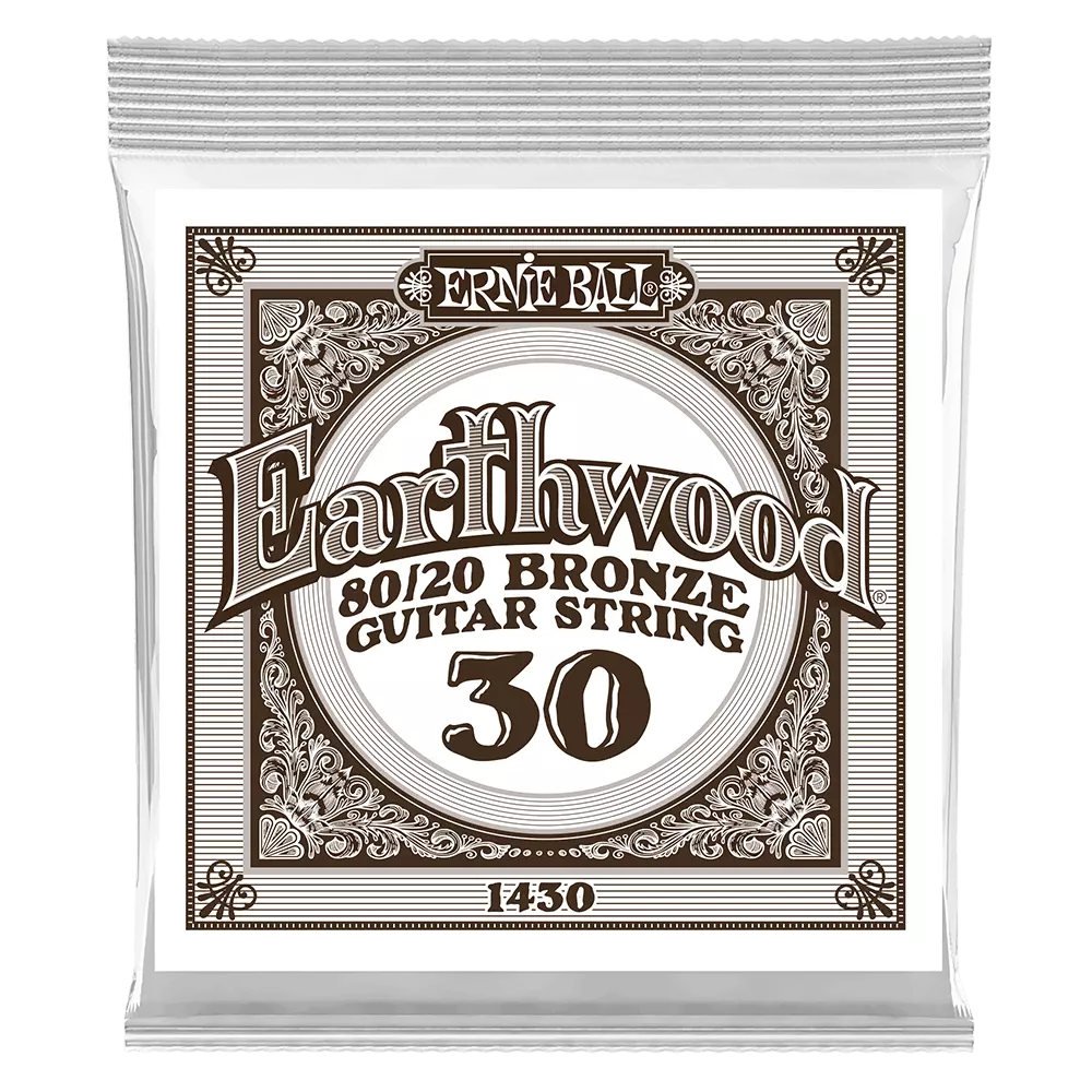 Earthwood 80/20 Bronze Acoustic Guitar String - .030 (Single)