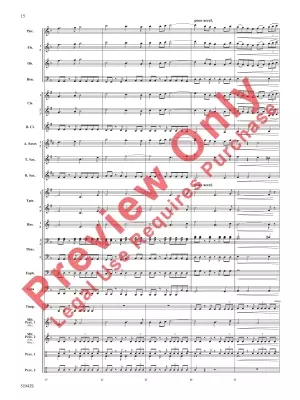 Rising from the Earth - Sims - Concert Band - Gr. 3