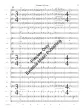 Fandango - Chambers - Concert Band - Gr. 3.5
