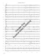 Fandango - Chambers - Concert Band - Gr. 3.5
