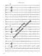Fandango - Chambers - Concert Band - Gr. 3.5