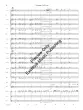 Fandango - Chambers - Concert Band - Gr. 3.5