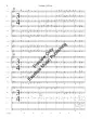 Fandango - Chambers - Concert Band - Gr. 3.5