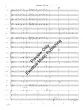 Fandango - Chambers - Concert Band - Gr. 3.5