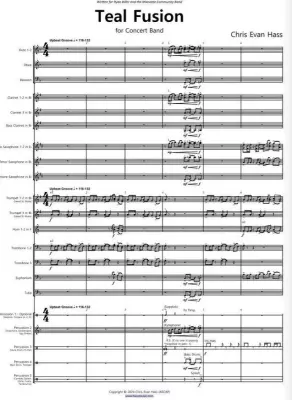 Teal Fusion - Hass - Concert Band - Gr. 3.5