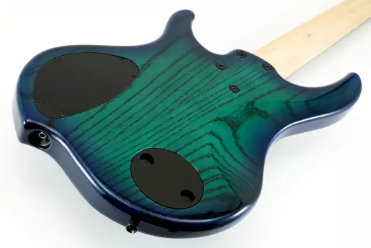 Combustion 5-String Electric Bass with Quilted Maple Top - Whalepoolburst