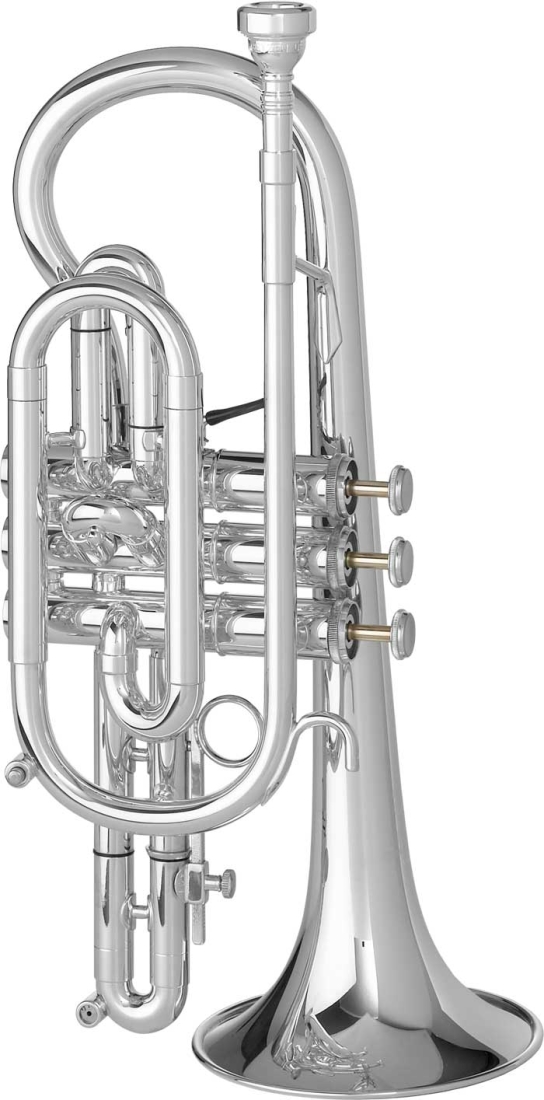 Capri Bb Cornet - Silver-Plated