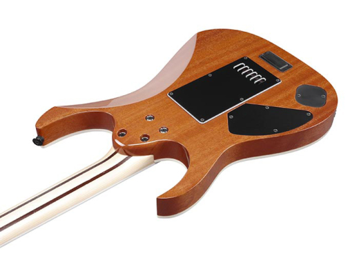 RG5121ET RG Prestige Electric Guitar with Case - Polar Lights Flat