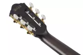 FRH20 Nylon Acoustic/Electric Guitar - Dark Emerald Burst Low Gloss