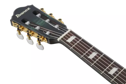 FRH20 Nylon Acoustic/Electric Guitar - Dark Emerald Burst Low Gloss