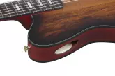 FRH20 Nylon Acoustic/Electric Guitar - Tobacco Burst Low Gloss