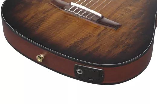 FRH20 Nylon Acoustic/Electric Guitar - Tobacco Burst Low Gloss
