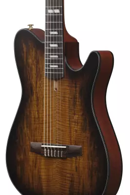 FRH20 Nylon Acoustic/Electric Guitar - Tobacco Burst Low Gloss