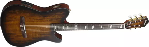 FRH20 Nylon Acoustic/Electric Guitar - Tobacco Burst Low Gloss