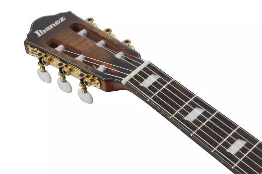 FRH20 Nylon Acoustic/Electric Guitar - Tobacco Burst Low Gloss