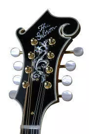 Doyle Lawson Signature Mandolin