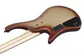 EHB Ergonomic Headless 4-String Bass - Charred Champagne Burst Matte
