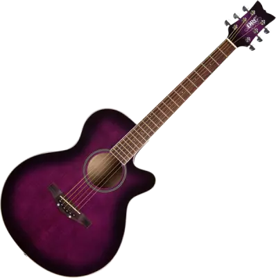 Sophomore Acoustic Pep Rally - Purple