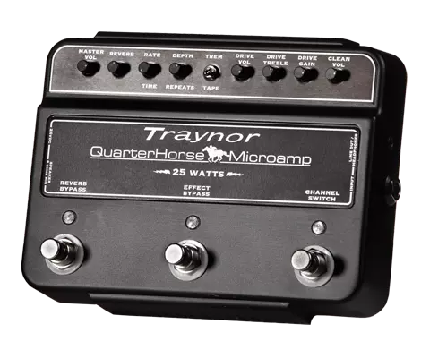 Quarterhorse 25 Watt Amp