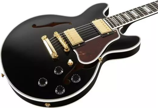 2014 ES-359 Semi-Hollow Electric- Ebony