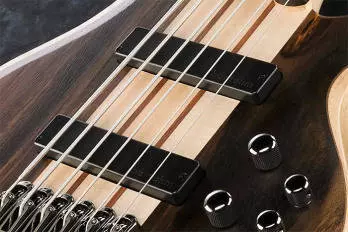 BTB 6 String Bass - Natural Flat