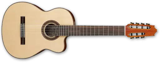 Classical 7 String Acoustic w/Cutaway