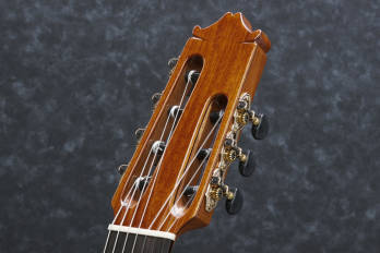 Classical 7 String Acoustic w/Cutaway