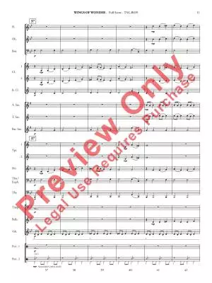 Wings of Wonder - Grant - Concert Band - Gr. 2