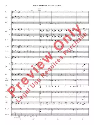 Wings of Wonder - Grant - Concert Band - Gr. 2