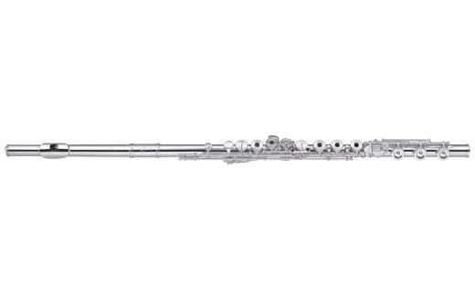 PB-202 Silver-Plated Flute with Offset G, B Foot, D# Roller, Gold Riser and Partial Brogger System