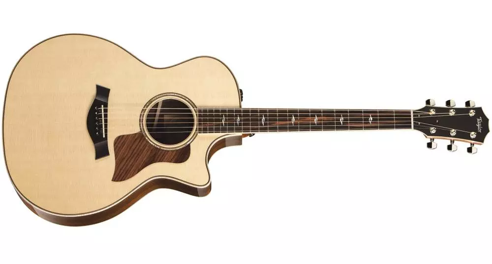 Auditorium Spruce/RW Acoustic/Electric Guitar w/Case