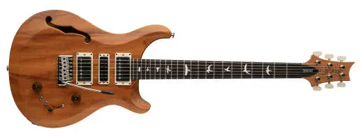 S2 Special Semi-Hollow Reclaimed Limited Edition Electric Guitar with Gigbag - Natural