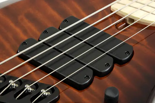 Combustion 5-String Electric Bass with Quilted Maple Top - Vintageburst