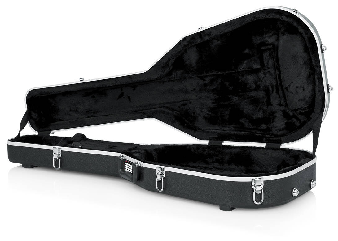 APX-Style Guitar Case