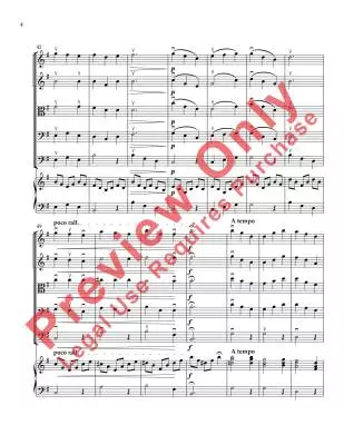 Lost Puppy Comes Home - Fin - String Orchestra - Gr. 1.5