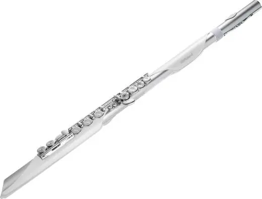 Aerophone Brisa Digital Wind Instrument