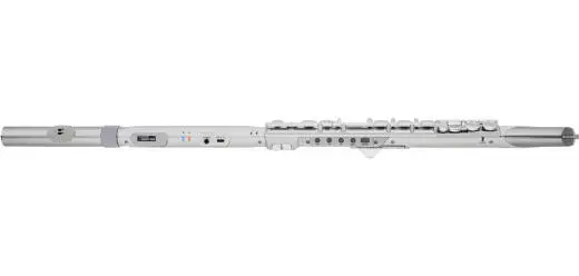 Aerophone Brisa Digital Wind Instrument