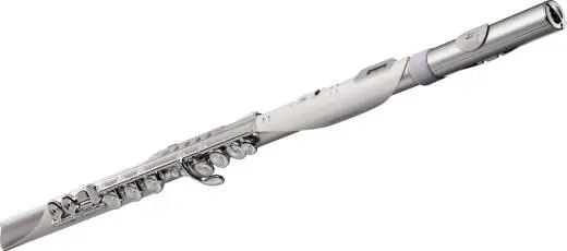 Aerophone Brisa Digital Wind Instrument