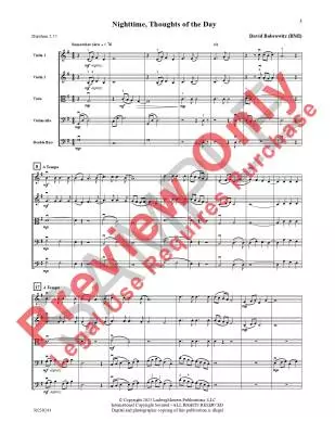Nighttime, Thoughts of the Day - Bobrowitz - String Orchestra - Gr. 2
