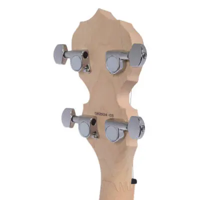 Goodtime Parlor Openback 5-String Banjo