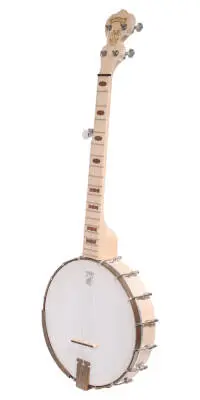Goodtime Parlor Openback 5-String Banjo