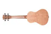 KA-20C Burled Meranti Concert Ukulele